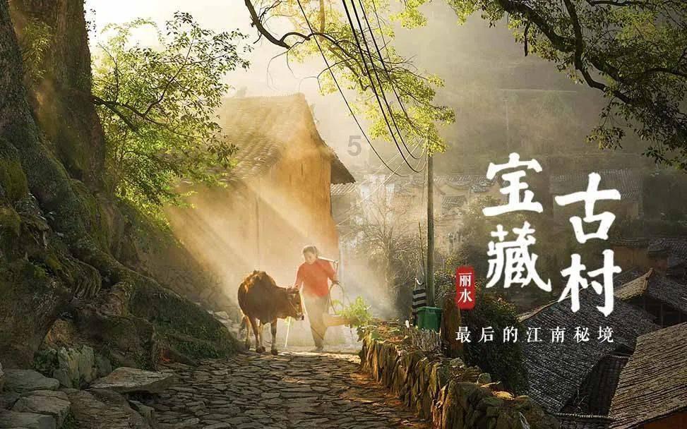助力你成为知识领袖,加入警犬们春节还坚守在岗位上,你怎么看禁止食用狗肉?知识星球平台