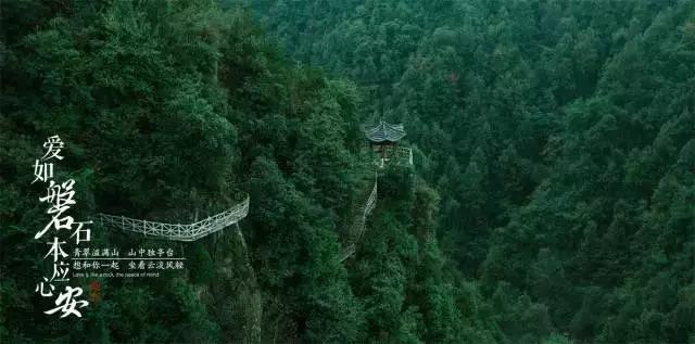 生完孩子掉头发很厉害怎么办?—智能问答网页,解答你的疑问